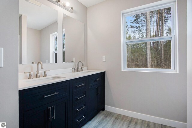 5203 NE Myers Rd, Kalkaska, MI 49646 - bathroom with baseboards, wood finished floors, and double vanity