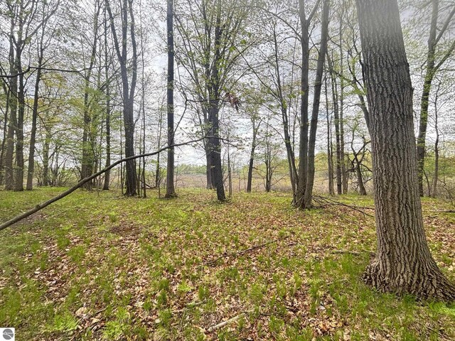 TBD Neff Rd, Edmore, MI 48829