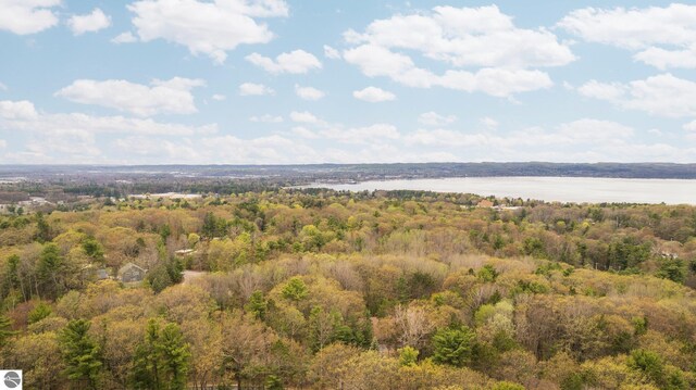 6307 Summit Ct, Traverse City, MI 49686 - bird's eye view of a forest and a nearby body of water