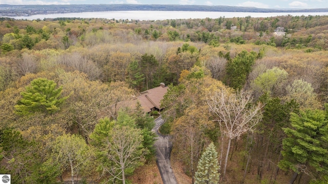 6307 Summit Ct, Traverse City, MI 49686 - bird's eye view of a nearby body of water and a heavily wooded area