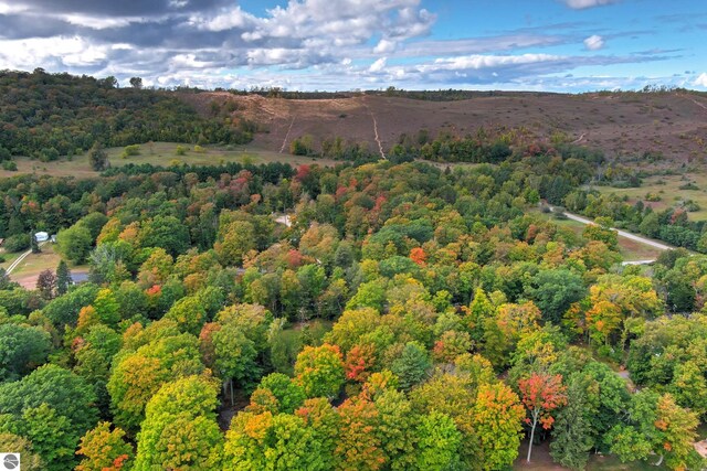 bird's eye view of a heavily wooded area