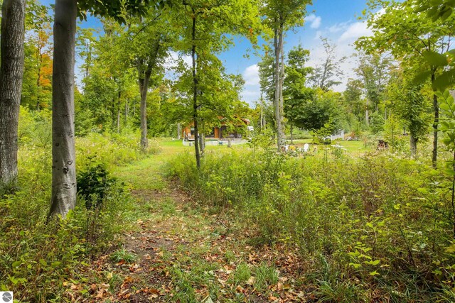 view of undeveloped land