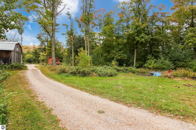 7156 S Dune Hwy, Empire, MI 49630 - view of dirt / gravel driveway
