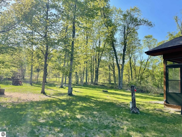 7156 S Dune Hwy, Empire, MI 49630 - view of grassy yard