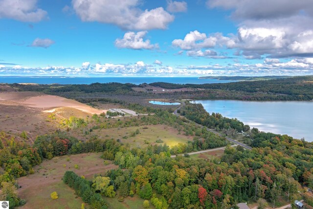aerial view of a large body of water and a forest
