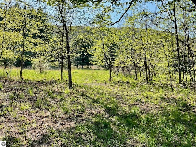 7156 S Dune Hwy, Empire, MI 49630 - view of woods