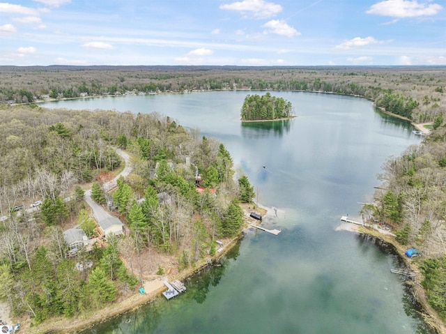 224 Island View Dr, Traverse City, MI 49696 - aerial view of property and surrounding area featuring a forest and a nearby body of water