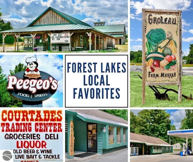 224 Island View Dr, Traverse City, MI 49696 - view of a document with a collage of images