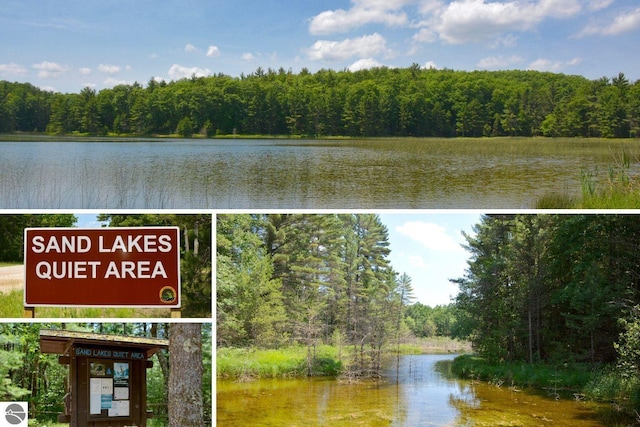 224 Island View Dr, Traverse City, MI 49696 - water view featuring a forest
