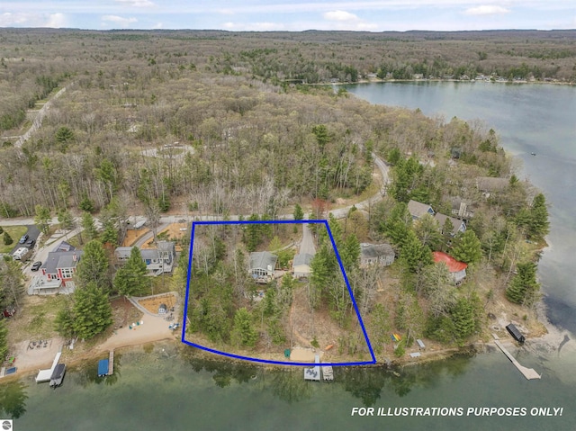 224 Island View Dr, Traverse City, MI 49696 - aerial overview of property's location featuring a heavily wooded area, a nearby body of water, and property parcel outlined