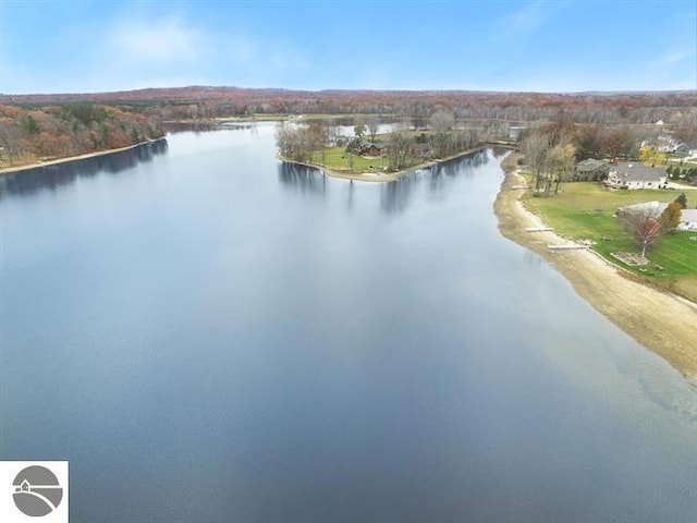 1117 Lincoln Dr, Lake Isabella, MI 48893 - bird's eye view of a nearby body of water