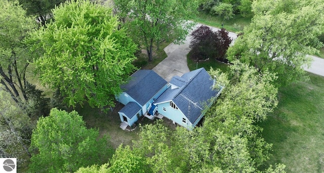 1117 Lincoln Dr, Lake Isabella, MI 48893 - aerial view of property and surrounding area