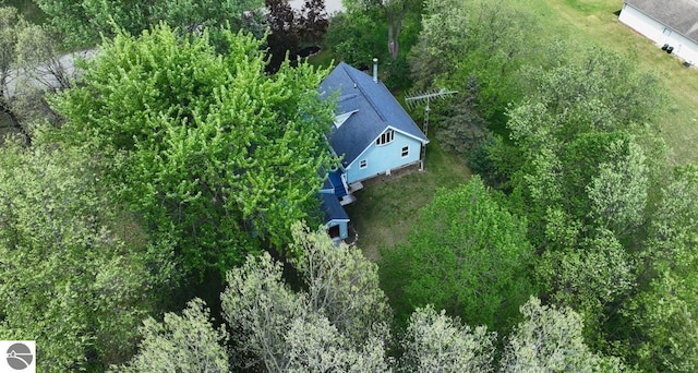 1117 Lincoln Dr, Lake Isabella, MI 48893 - aerial view of property and surrounding area