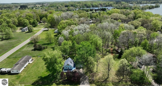 1117 Lincoln Dr, Lake Isabella, MI 48893 - aerial overview of property's location with a nearby body of water and a forest