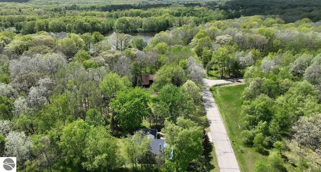 1117 Lincoln Dr, Lake Isabella, MI 48893 - drone / aerial view of a heavily wooded area