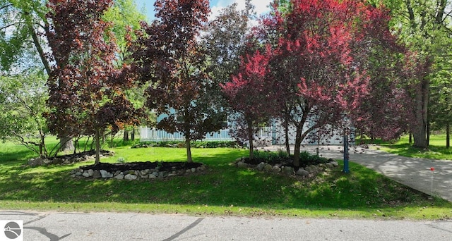 1117 Lincoln Dr, Lake Isabella, MI 48893 - surrounding community featuring a lawn