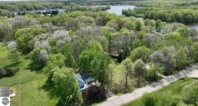 1117 Lincoln Dr, Lake Isabella, MI 48893 - aerial overview of property's location featuring a large body of water and a heavily wooded area
