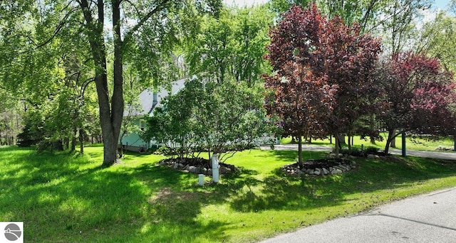 1117 Lincoln Dr, Lake Isabella, MI 48893 - view of community with a lawn
