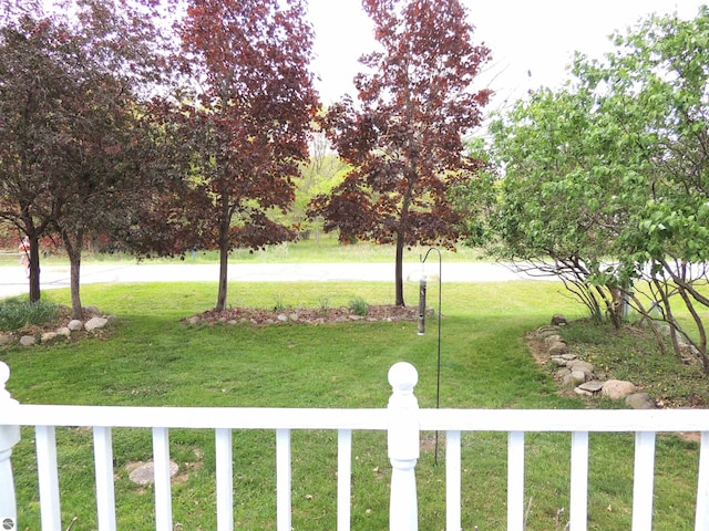 1117 Lincoln Dr, Lake Isabella, MI 48893 - view of yard