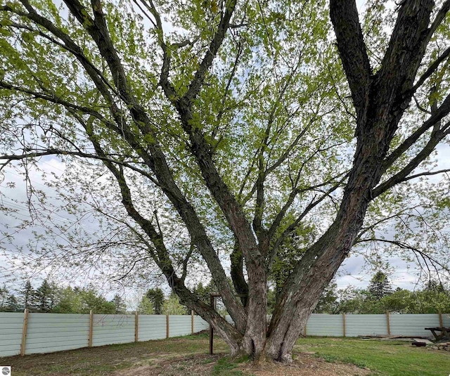660 N Michigan Ave, Manton, MI 49663 - view of yard with fence