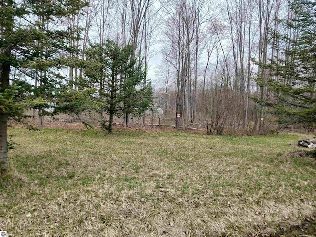 1392 Kitchen Rd, Whittemore, MI 48770 - view of green lawn