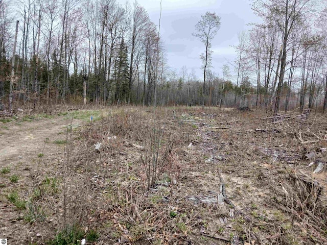 1392 Kitchen Rd, Whittemore, MI 48770 - view of wooded area