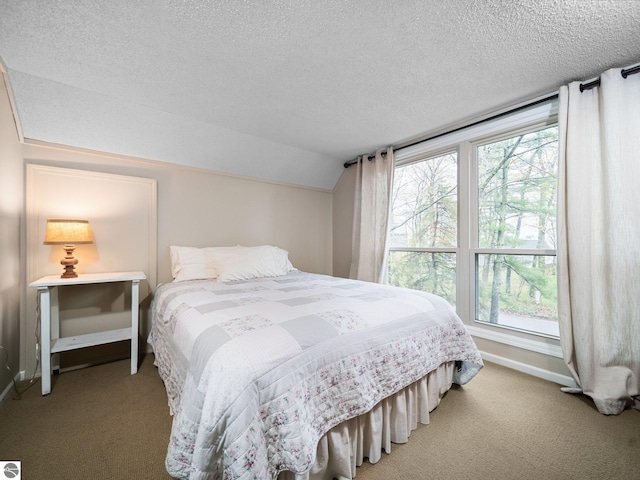 5467 Lakeview Dr, Interlochen, MI 49643 - bedroom featuring carpet flooring, vaulted ceiling, a textured ceiling, and baseboards