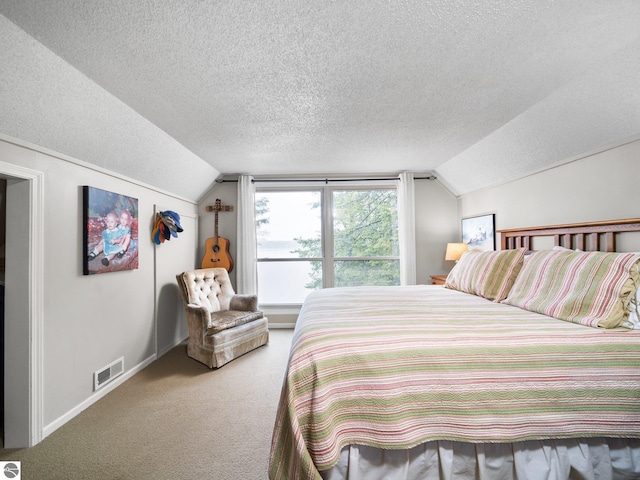 5467 Lakeview Dr, Interlochen, MI 49643 - bedroom with vaulted ceiling, a textured ceiling, carpet flooring, and baseboards