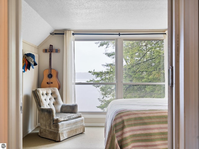 5467 Lakeview Dr, Interlochen, MI 49643 - carpeted bedroom with a textured ceiling, lofted ceiling, and baseboards
