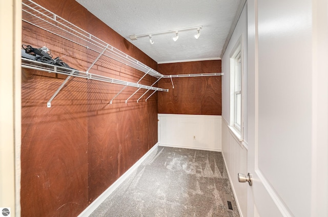 11749 Birch Dr, Lakeview, MI 48850 - walk in closet featuring carpet
