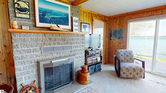 10701 SW Torch Lake Dr, Rapid City, MI 49676 - carpeted living room featuring a fireplace and wood walls
