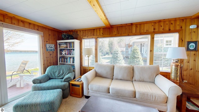 10701 SW Torch Lake Dr, Rapid City, MI 49676 - living room featuring healthy amount of natural light, wooden walls, wood finished floors, and a water view