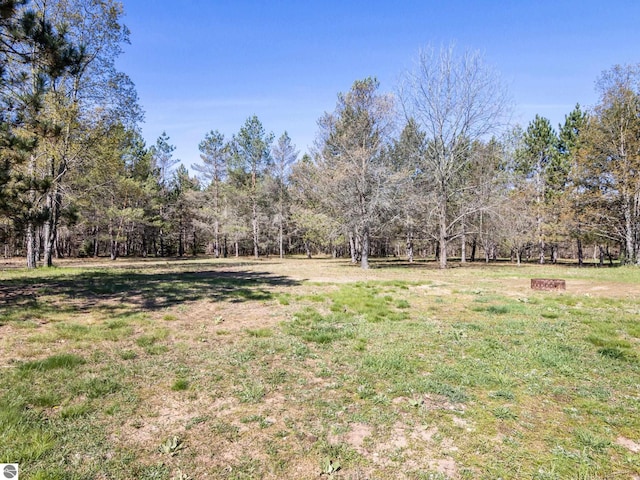 5891 N 19th Rd, Mesick, MI 49668 - view of grassy yard