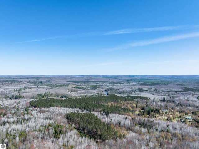 5891 N 19th Rd, Mesick, MI 49668 - aerial view of property's location