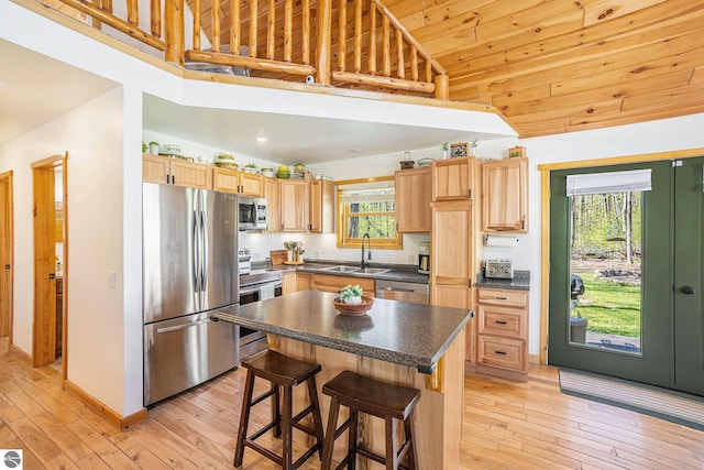 9266 Kenyon Trl, Frederic, MI 49733 - kitchen with stainless steel appliances, a sink, dark countertops, healthy amount of natural light, and high vaulted ceiling