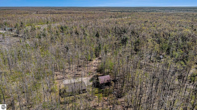 9266 Kenyon Trl, Frederic, MI 49733 - bird's eye view of a forest