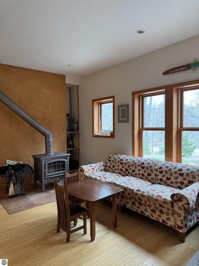 living area with a wood stove, light wood finished floors, and healthy amount of natural light