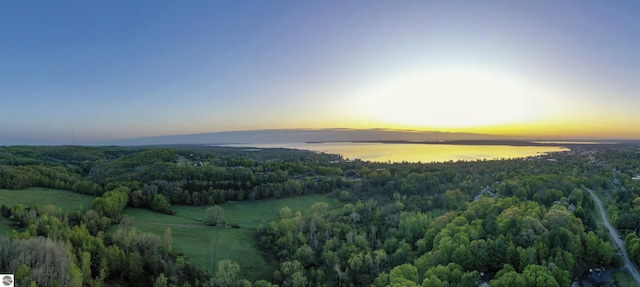 aerial view at dusk of a view of trees