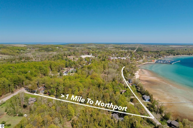 429 S Shabwasung St, Northport, MI 49670 - aerial overview of property's location featuring a forest and a nearby body of water
