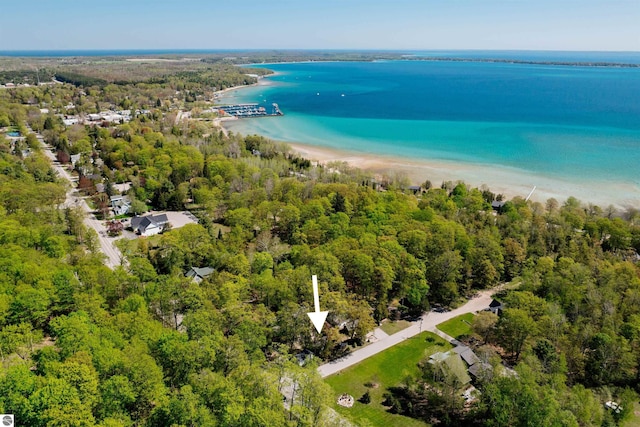 429 S Shabwasung St, Northport, MI 49670 - bird's eye view of a nearby body of water and a heavily wooded area