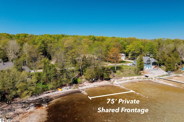 429 S Shabwasung St, Northport, MI 49670 - bird's eye view of a forest