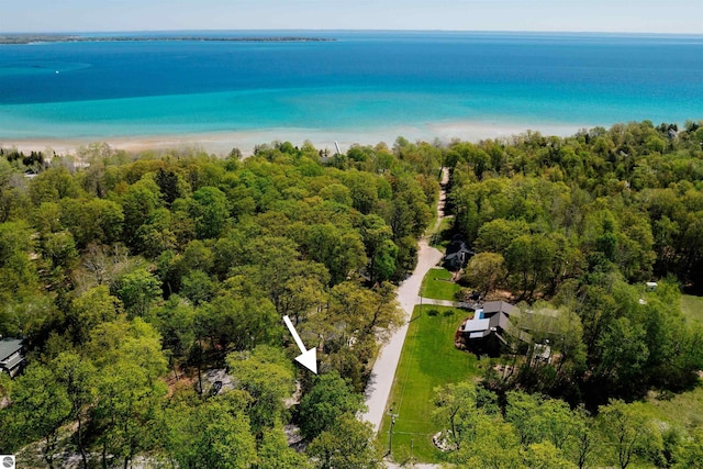 429 S Shabwasung St, Northport, MI 49670 - drone / aerial view of a large body of water and a forest