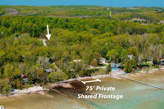 429 S Shabwasung St, Northport, MI 49670 - aerial view of a heavily wooded area
