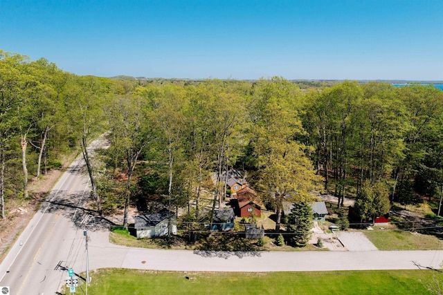 429 S Shabwasung St, Northport, MI 49670 - aerial view of a forest