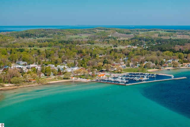 429 S Shabwasung St, Northport, MI 49670 - aerial view of a nearby body of water and a forest