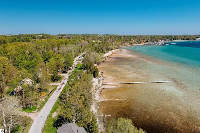 429 S Shabwasung St, Northport, MI 49670 - aerial overview of property's location with expansive beach