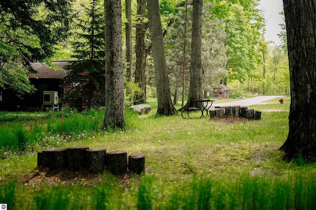 429 S Shabwasung St, Northport, MI 49670 - view of yard with a forest view