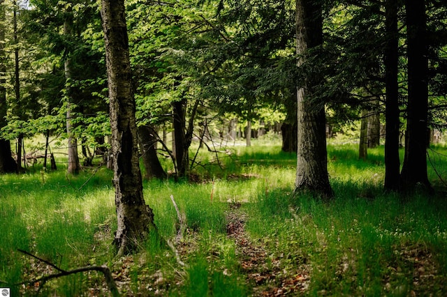 429 S Shabwasung St, Northport, MI 49670 - view of undeveloped land