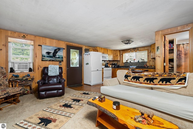 6202 Fletcher Rd, Fife Lake, MI 49633 - living area featuring healthy amount of natural light, wood walls, and cooling unit