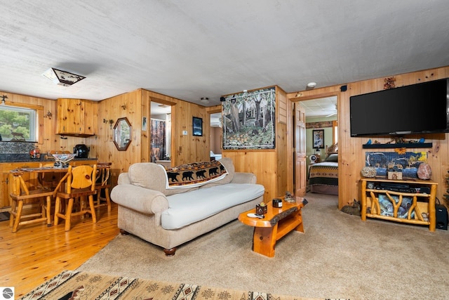 6202 Fletcher Rd, Fife Lake, MI 49633 - living area featuring wooden walls and wood finished floors